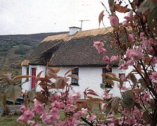 Connemara Country Cottages Glentrasna Exterior foto